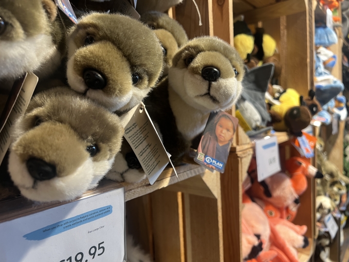 Otter plush toys on a shelf. In the background are other plush toys such as flamingos